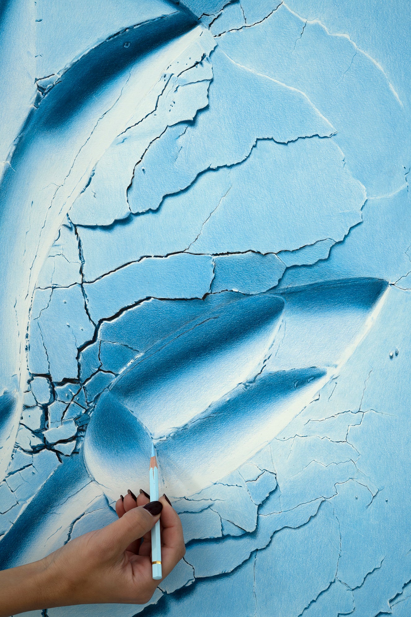 Lotus Flower 'Happiness'